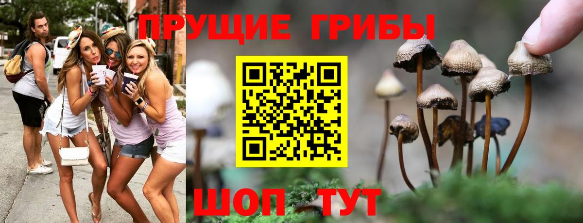 сколько стоит  Вход с VPN  Кирово-Чепецк  Псилоцибиновые грибы Magic Shrooms  Галлюциногенные грибы мухоморы 