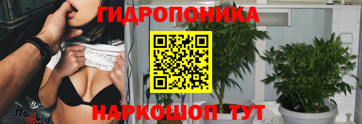МАРИХУАНА Bruce Banner  Вход с VPN  Кирово-Чепецк  Каннабис AK-47  Марихуана Bruce Banner 